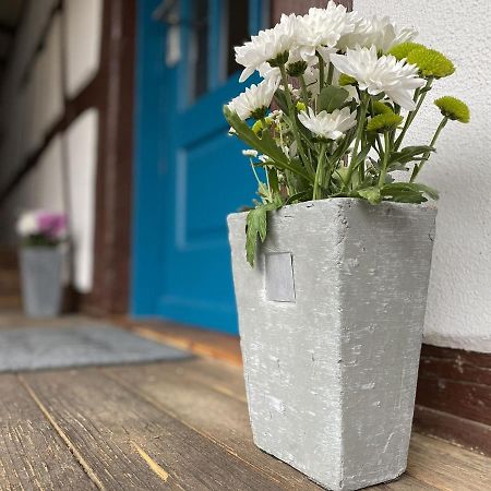 Traumhaft Wohnen Im Haus Blum Apartment Herbolzheim Bagian luar foto