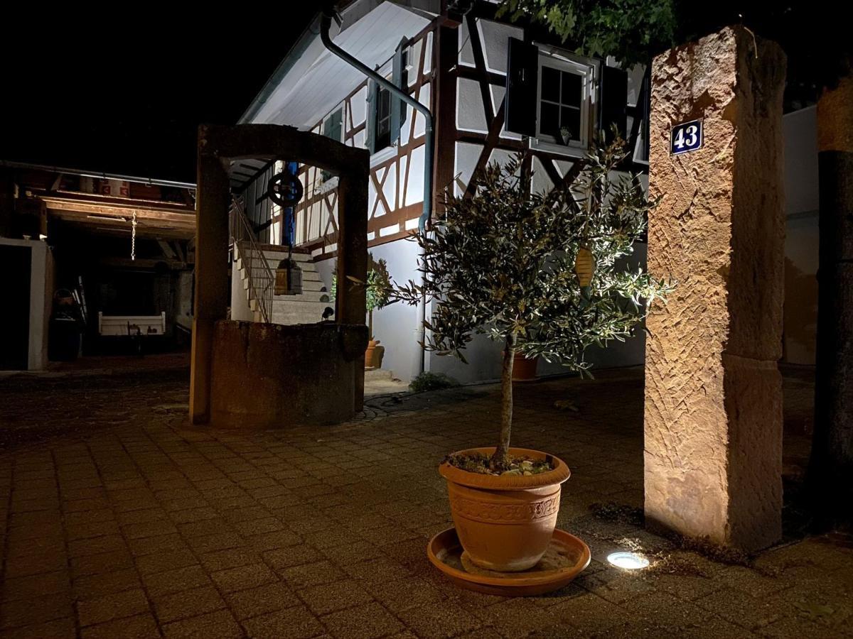 Traumhaft Wohnen Im Haus Blum Apartment Herbolzheim Bagian luar foto