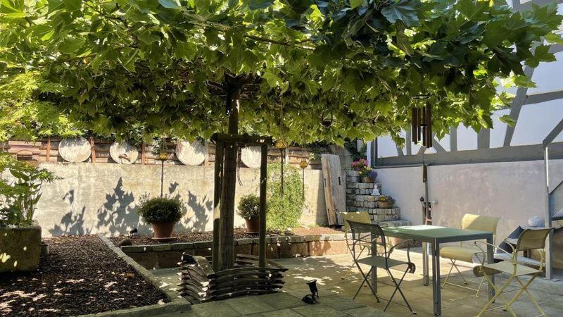 Traumhaft Wohnen Im Haus Blum Apartment Herbolzheim Bagian luar foto